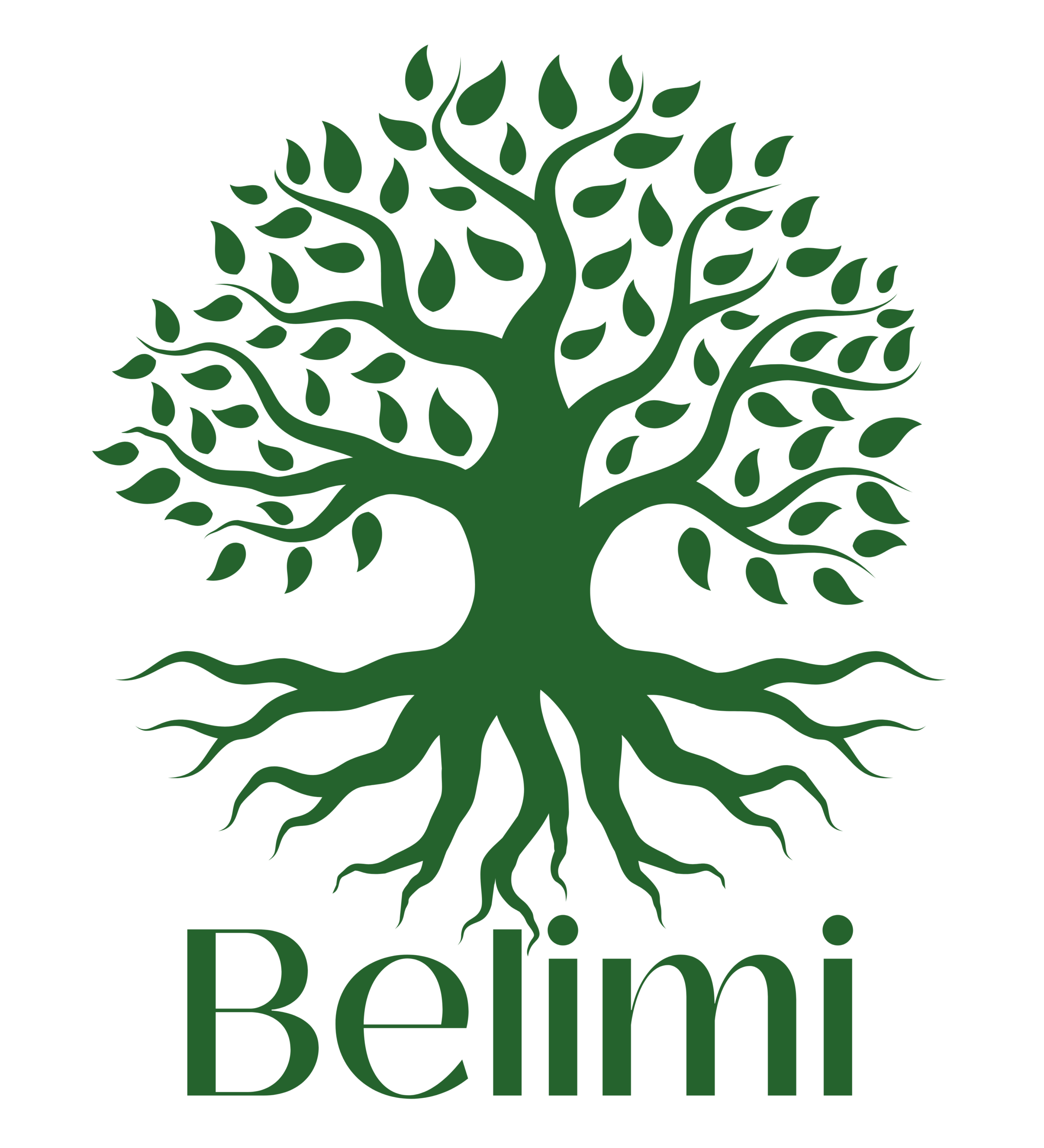 Belimi