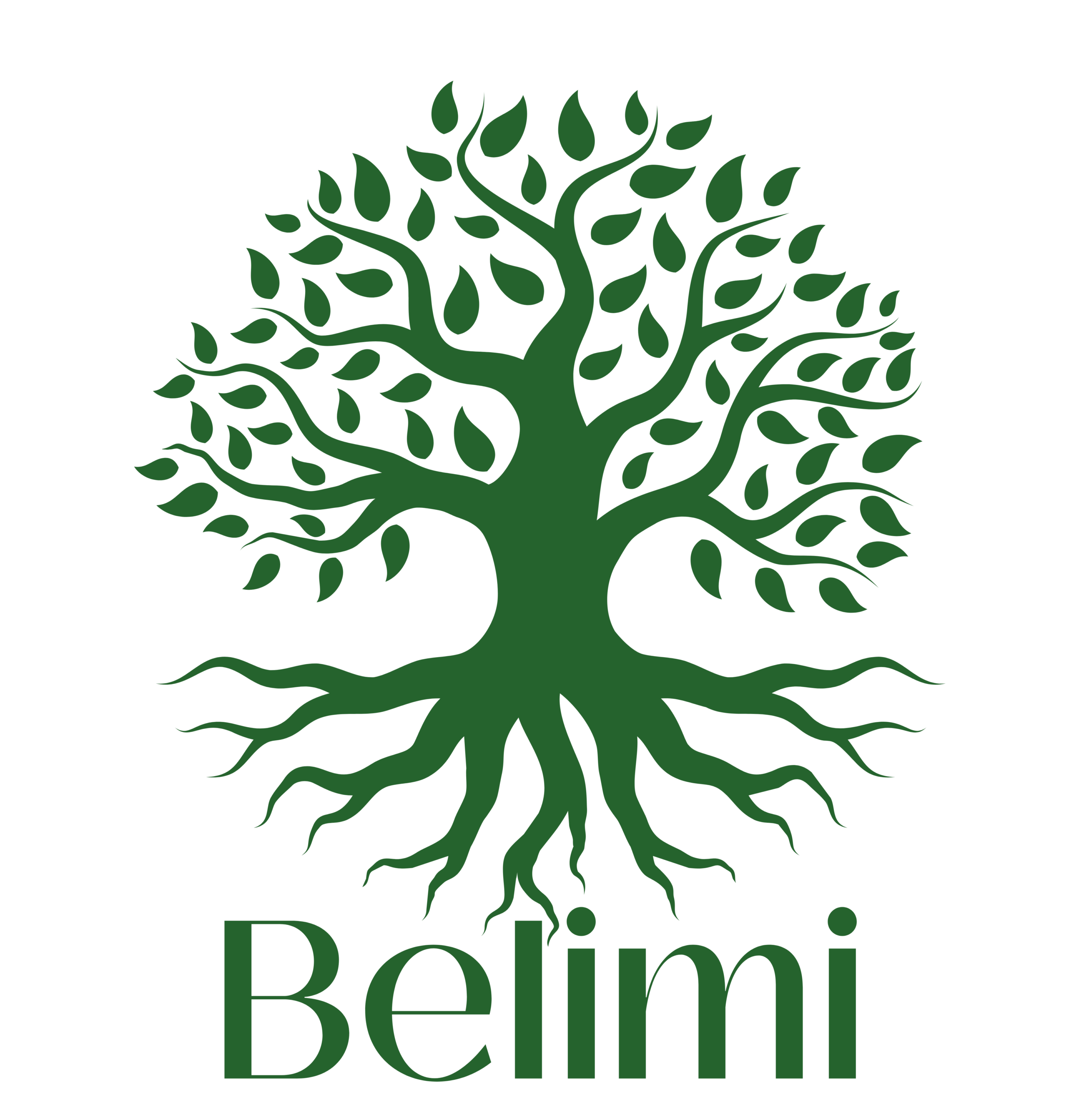 Belimi